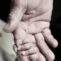 Baby holding hand