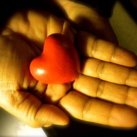 636px-Compassionate_hands